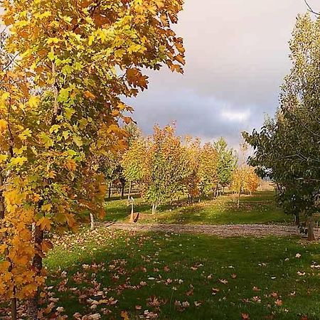 Camping Ain Jaca Exteriör bild
