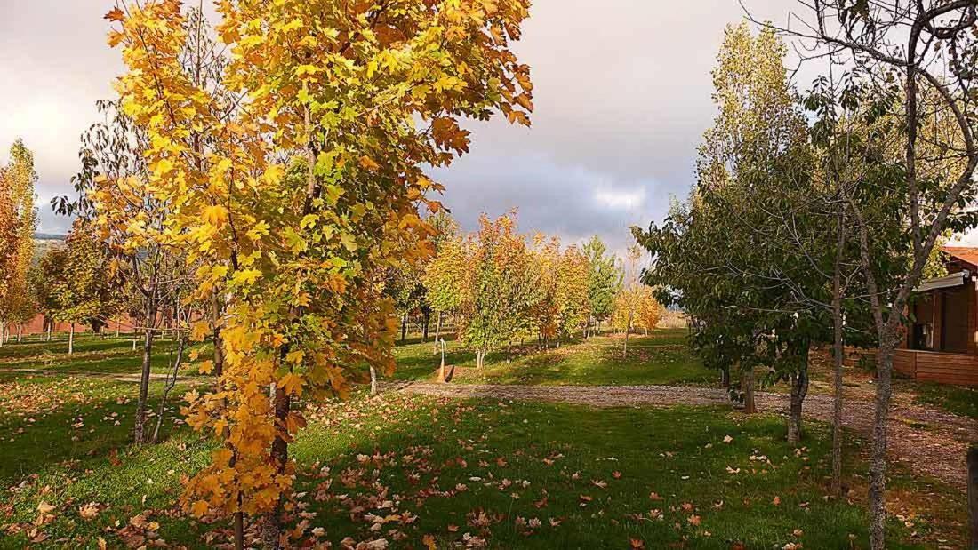 Camping Ain Jaca Exteriör bild