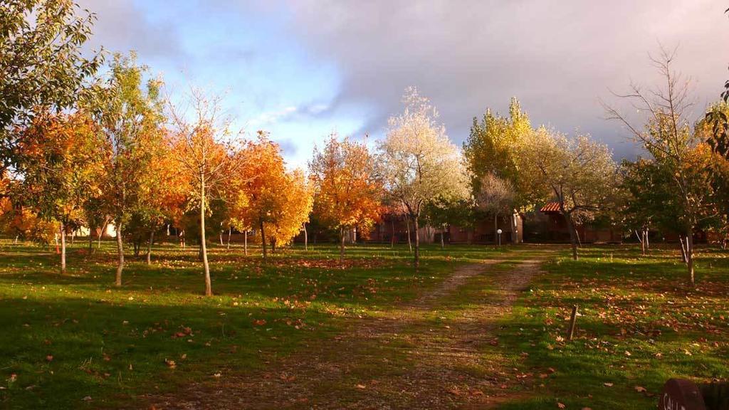 Camping Ain Jaca Exteriör bild